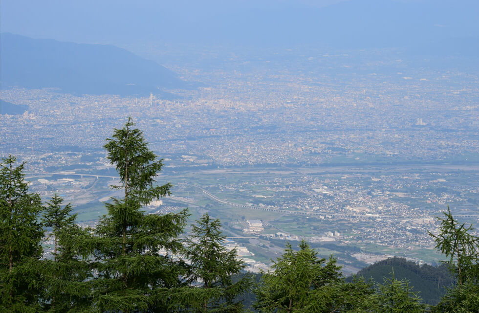 甲府市