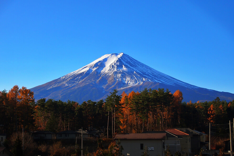 山梨の魅力