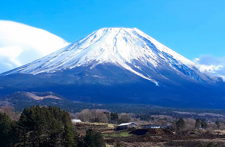 山梨