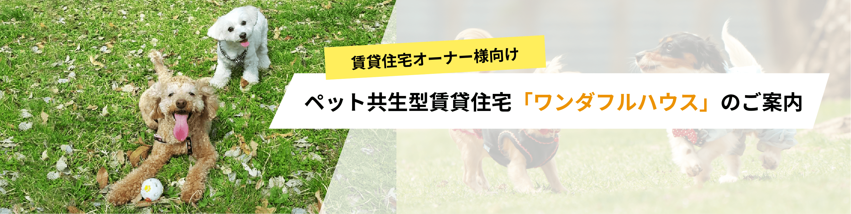 ペット共生型賃貸住宅「ワンダフルハウス」のご案内