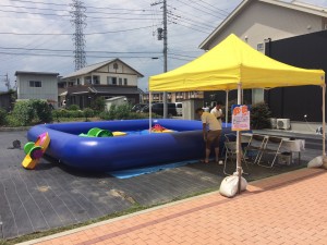 IMG_3341[1]