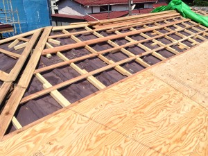 2016-08-06 14.08.44 HDR