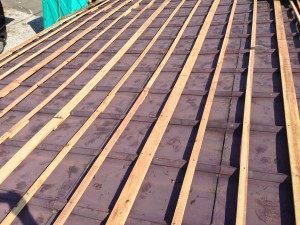 2016-08-06 14.09.08 HDR