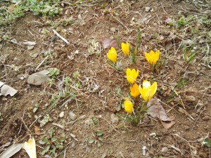 IMG_20170218_134740