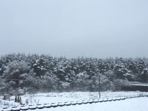 IMG_0636