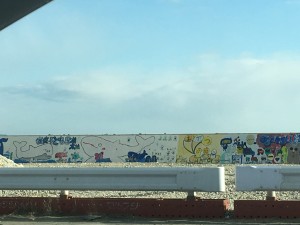 IMG_0658