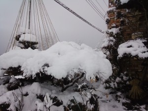 IMG_20170327_071733