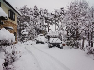 IMG_20170327_071809