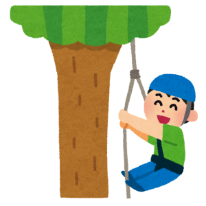 tree_climbing