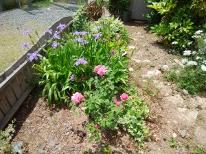 IMG_20170516_104937
