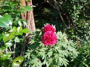 IMG_20170521_071216