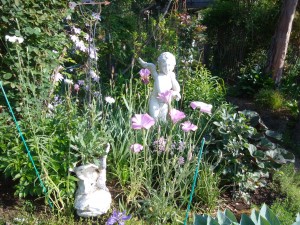 IMG_20170521_071234