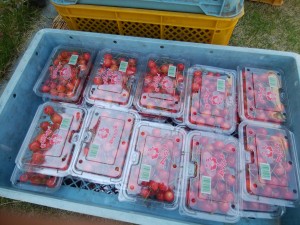 IMG_20170617_094955