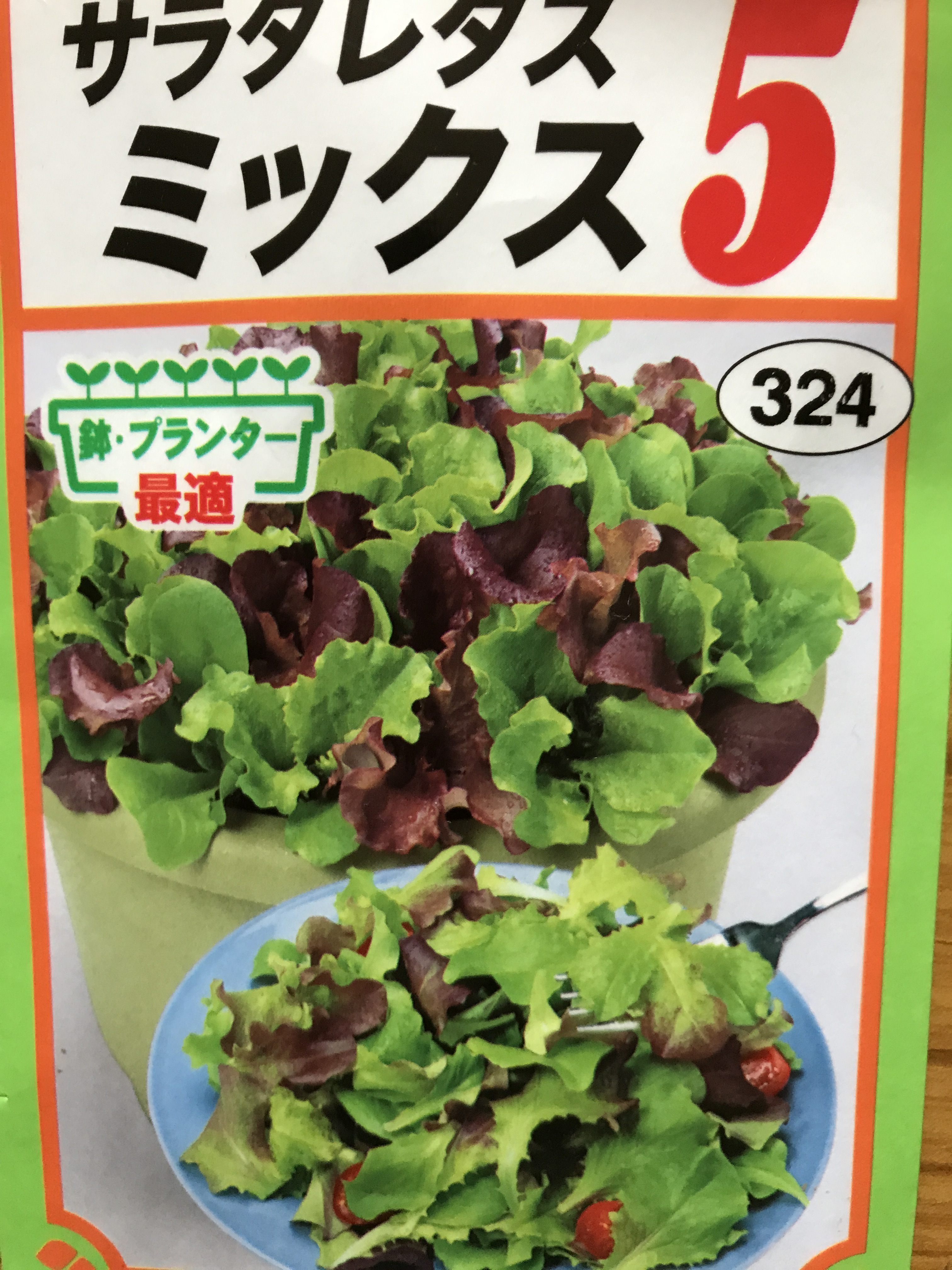 家庭菜園 山梨 甲府 河口湖 富士吉田 笛吹 甲斐 大月 都留 の注文住宅 カトリホーム 家庭菜園 山梨 甲府 河口湖 富士吉田 笛吹 甲斐 大月 都留 の注文住宅 カトリホーム