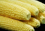 VegCorn