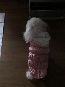 C5EC29DF-3D96-4C8B-9A13-27D375412C1A