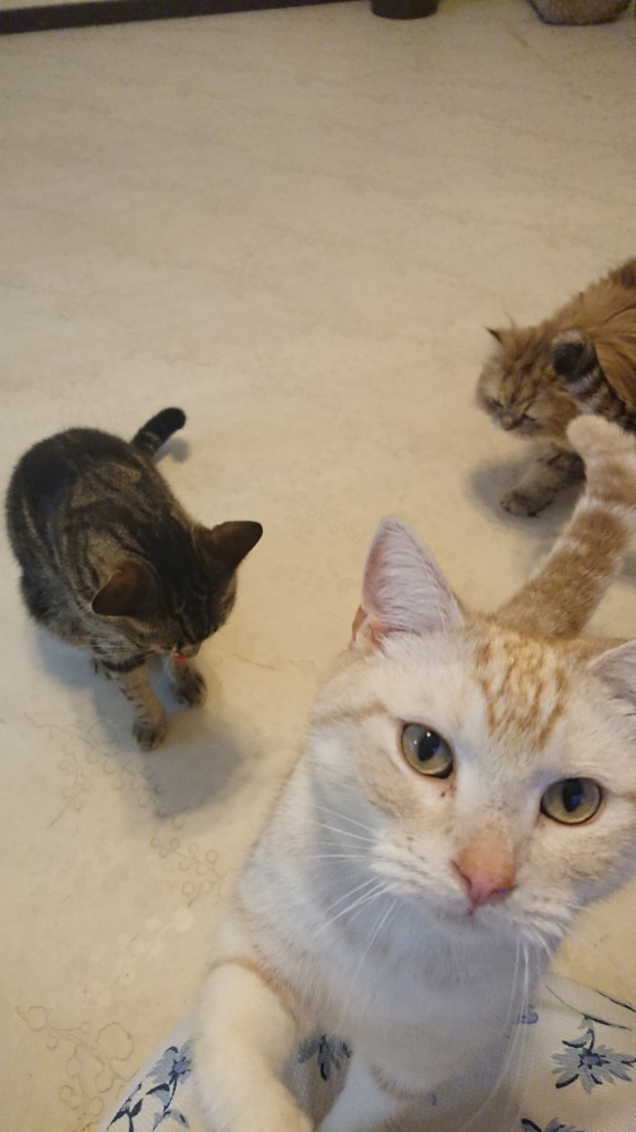 DSCPDC_0000_BURST20180429172325631