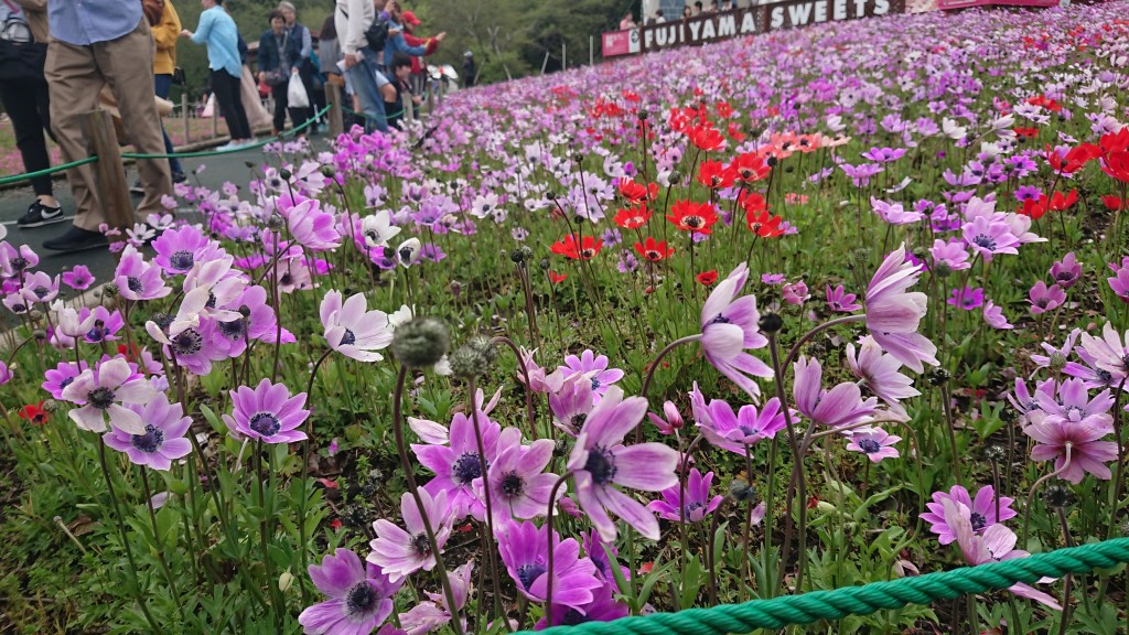 DSCPDC_0002_BURST20180503123944689