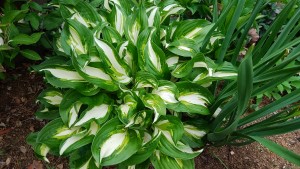 IMG_20180502_084538