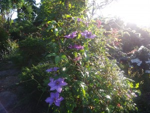 IMG_20180701_054130