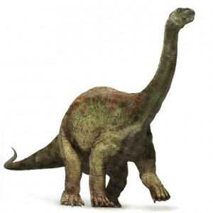 ArgentinosaurusPicture