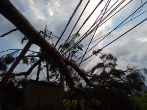 IMG_20180905_054719