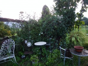 IMG_20180905_061301