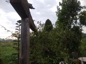 IMG_20180906_062011