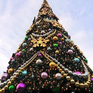 IMG_20181129_145010_202