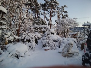 IMG_20190201_063300