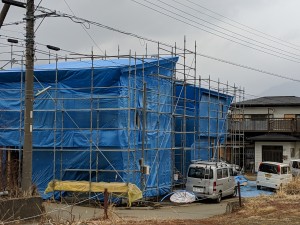 MVIMG_20190209_155019