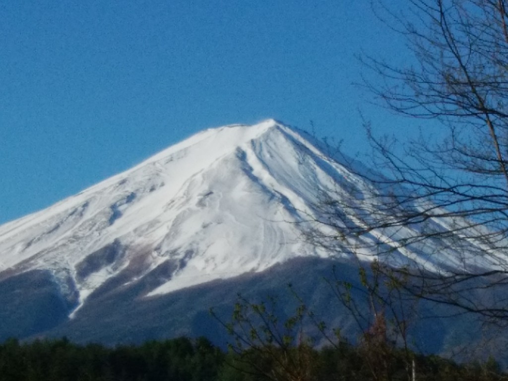 fuji