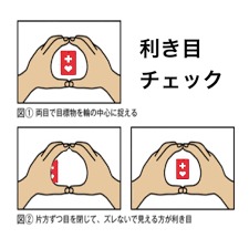 ソース画像を表示