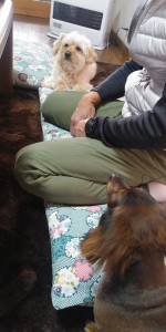 IMG00039