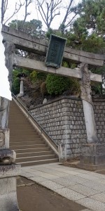 IMG01354_HDR