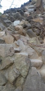 IMG01361
