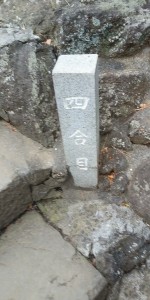 IMG01377