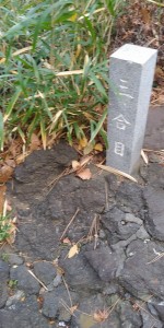 IMG01378