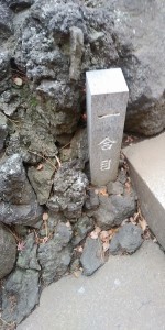 IMG01380