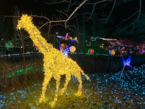 IMG_3350