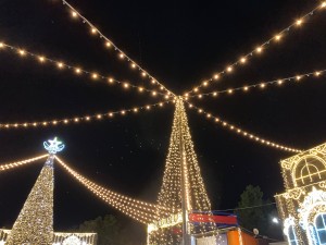 IMG_3371