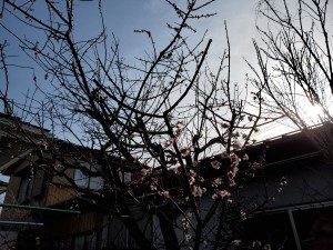 20200322_075710[1]