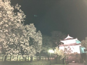 IMG_1462