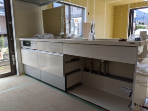MVIMG_20200317_104919