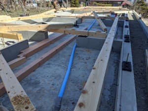 MVIMG_20200325_093822