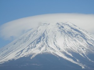 P3190579