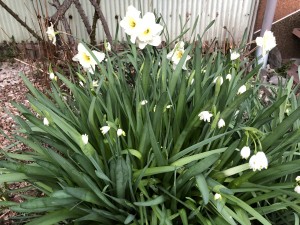 20F6874D-9CF7-4CBA-BC77-245E473BC435