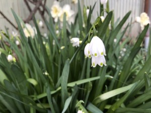 438EC99A-0D63-4FFA-9C27-2E691A8FF38D