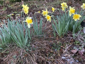 9A73460D-5B14-4BFD-A0B9-7B07BE379C3D