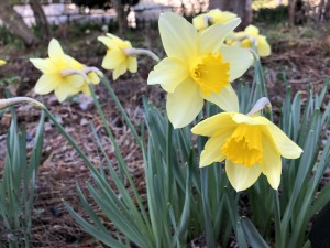 BA799B22-0F5B-41E2-8472-0DFD91AEC48E